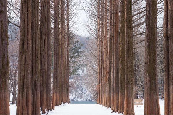 taste_of_hokkaido